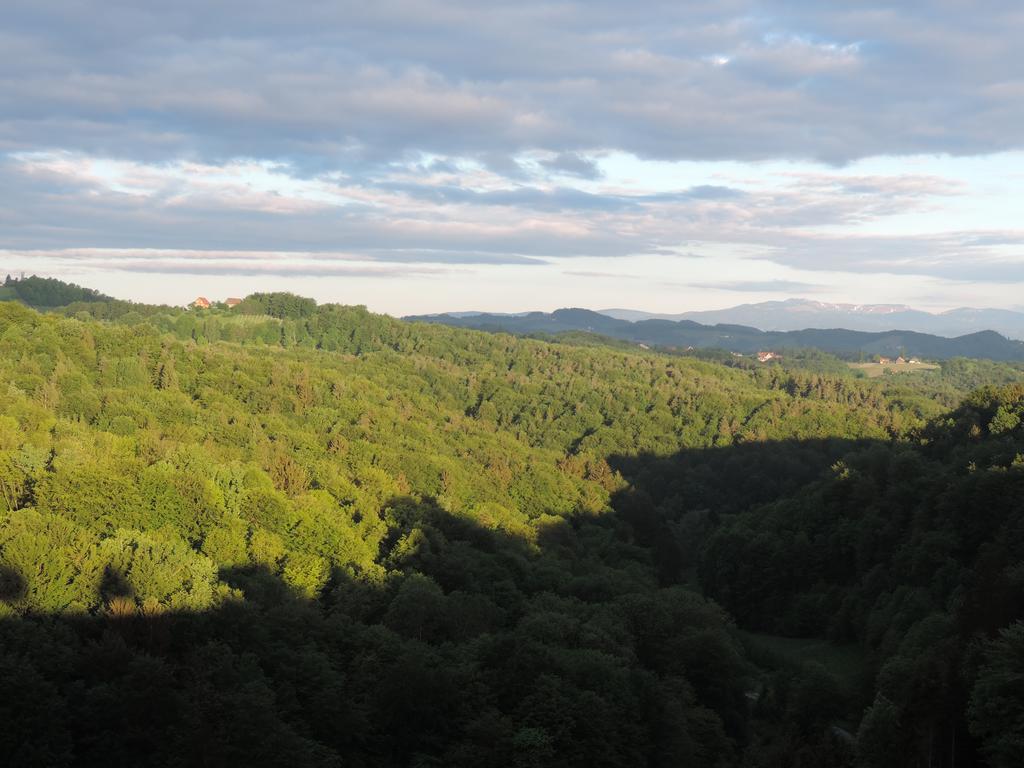 Weingut Gaestezimmer Gruber Ehrenhausen Buitenkant foto