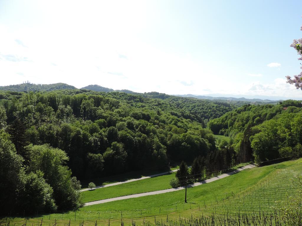 Weingut Gaestezimmer Gruber Ehrenhausen Buitenkant foto